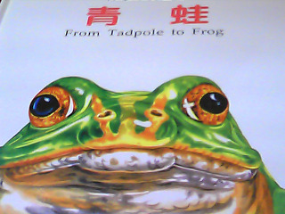 童書