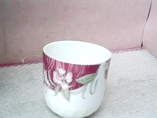 茶杯