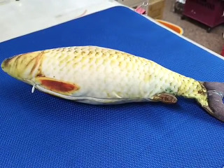 貓玩具