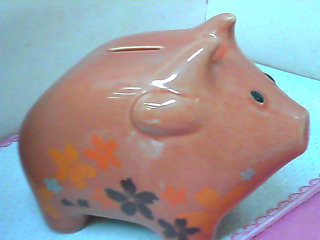 撲滿