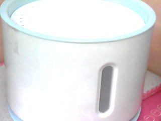 寵物喝水器