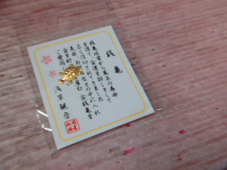錢龜