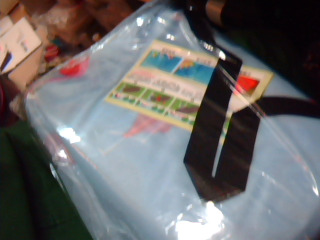 全新沙灘充氣椅