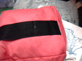 機車兒童安全帶