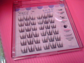 假睫毛