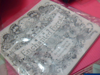 著色本2入