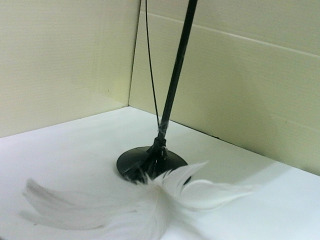 逗貓棒