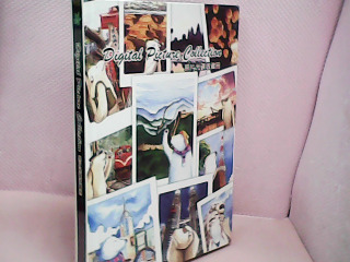 照片光碟收藏冊