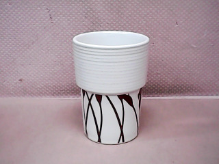 杯