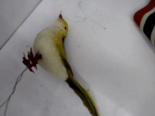 裝飾鳥