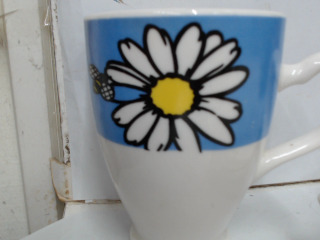 杯