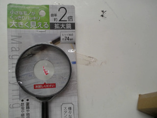 放大鏡