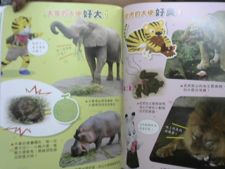 商品照片
