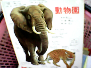童書