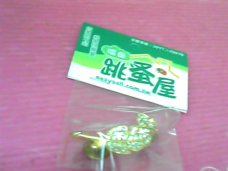 胸針