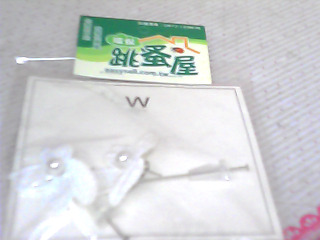 耳環