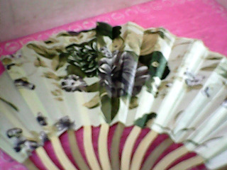 扇子