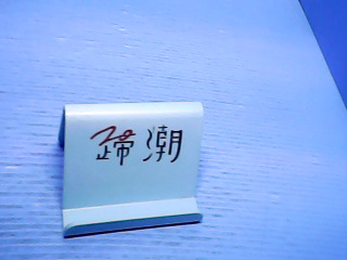 支架