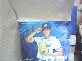 全新/機車擋泥板