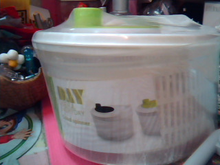 全新蔬果脫水器