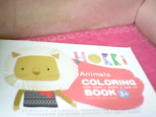 著色本