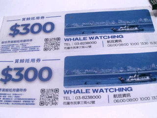 賞鯨300元抵用券*2張