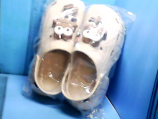 全新鞋(不試穿)