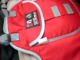 機車兒童安全帶