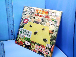 黏蠅板