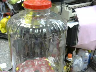 全新玻璃甕 (大)