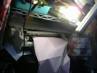 聲寶 LED 黃光燈泡