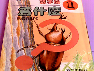 書-孩子的為什麼