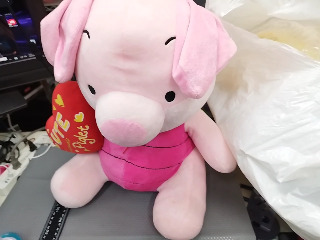 娃娃