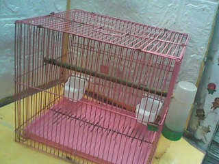 鳥籠