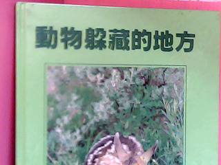 童書