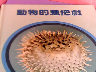 童書