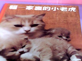 童書