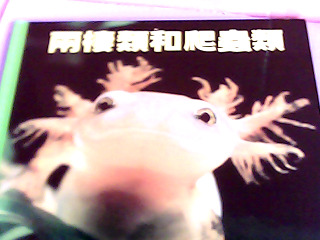 童書
