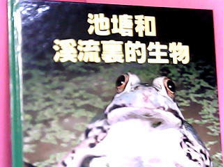 童書