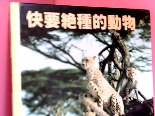 童書