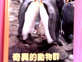童書