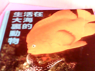 童書
