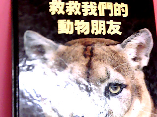 童書