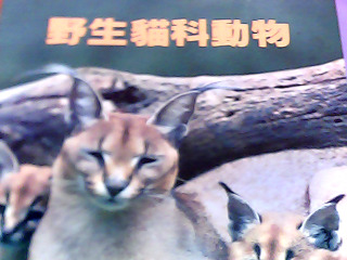 童書