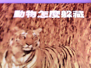 童書