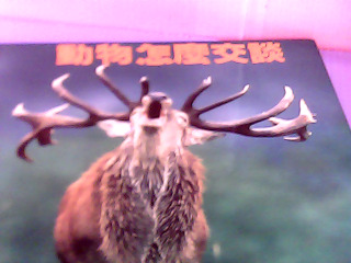 童書