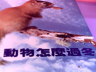 童書