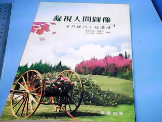 書-凝視人間圖像