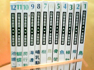 書12入