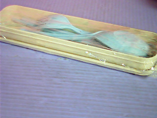 環保餐具